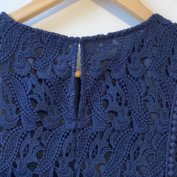 Zara Lace Shift Dress - Picture 6 of 8